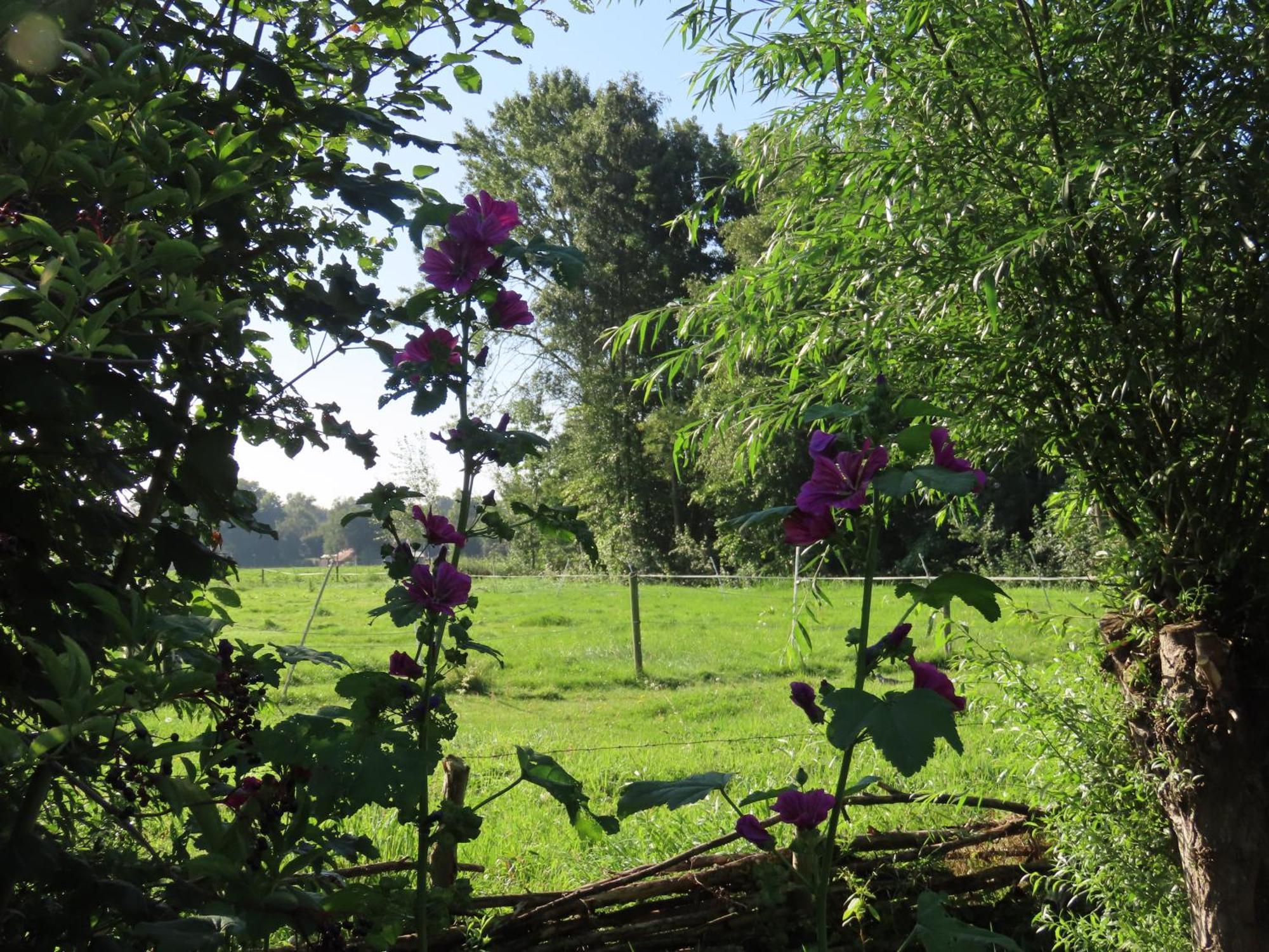 B&B De Pinguin Bergentheim Exterior foto